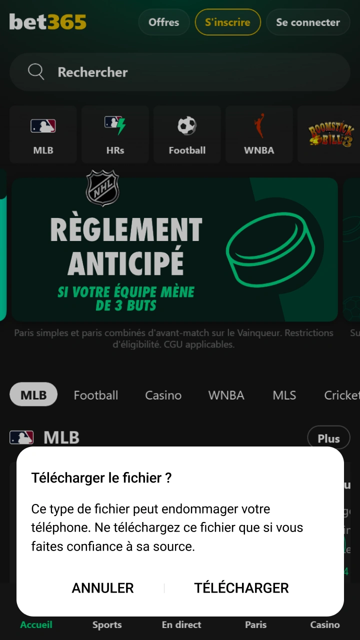 Confirmez le chargement rapide pour accéder aux meilleures cotes directement sur Bet365.